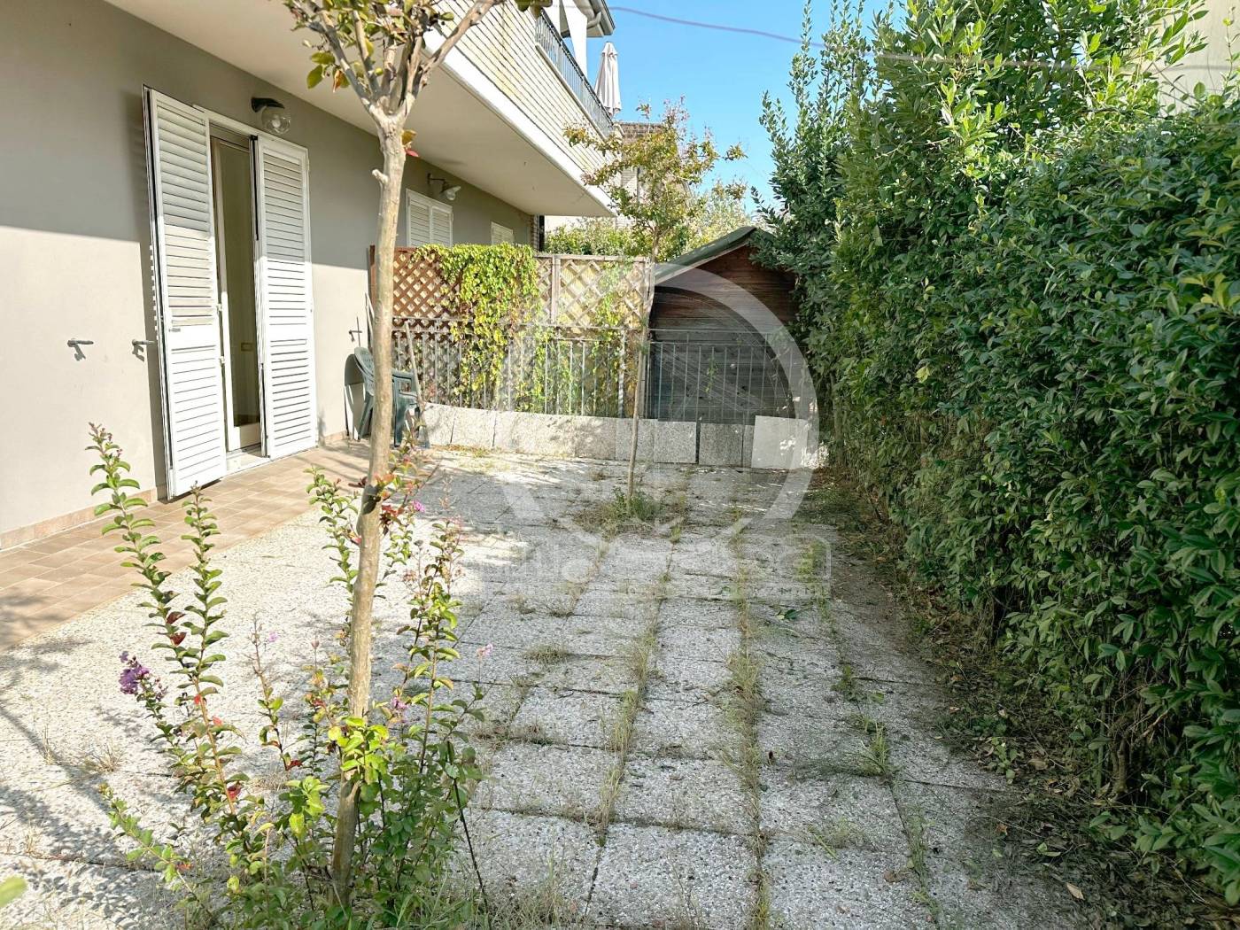 Giardino