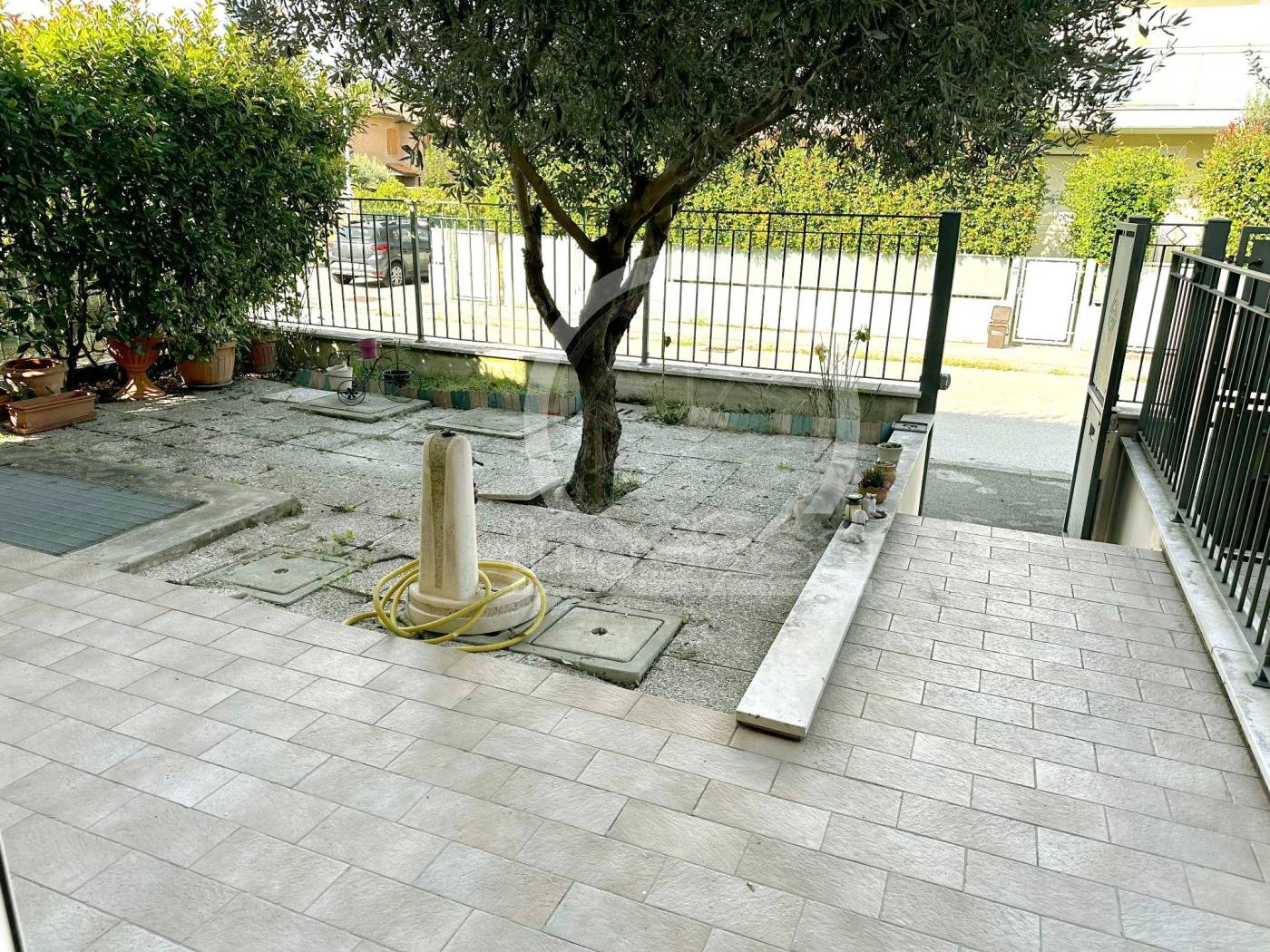 Giardino