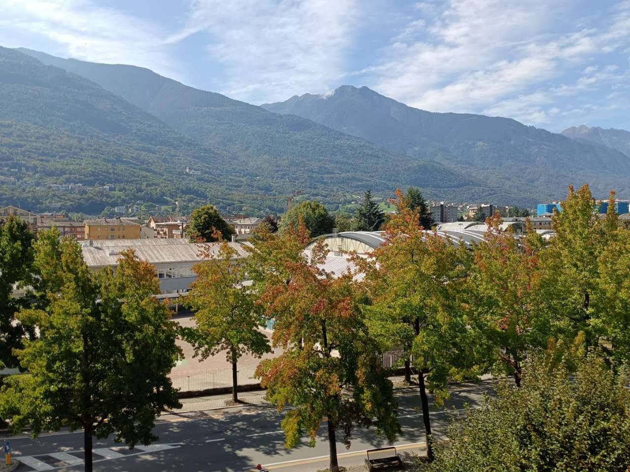 Vista