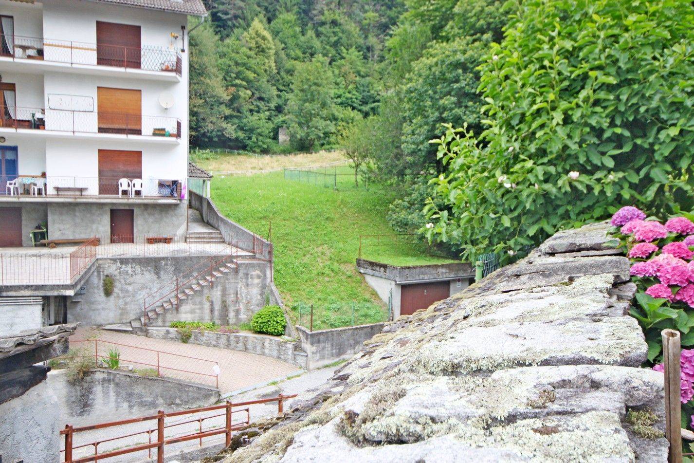 Vista