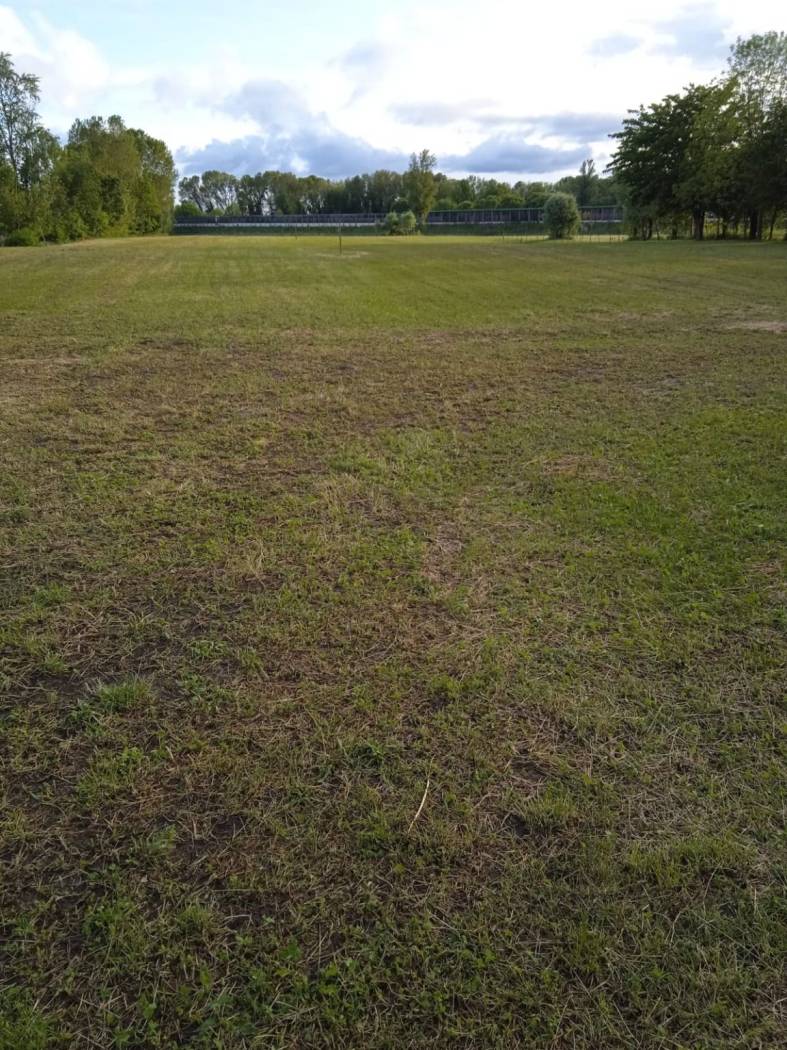 Terreno
