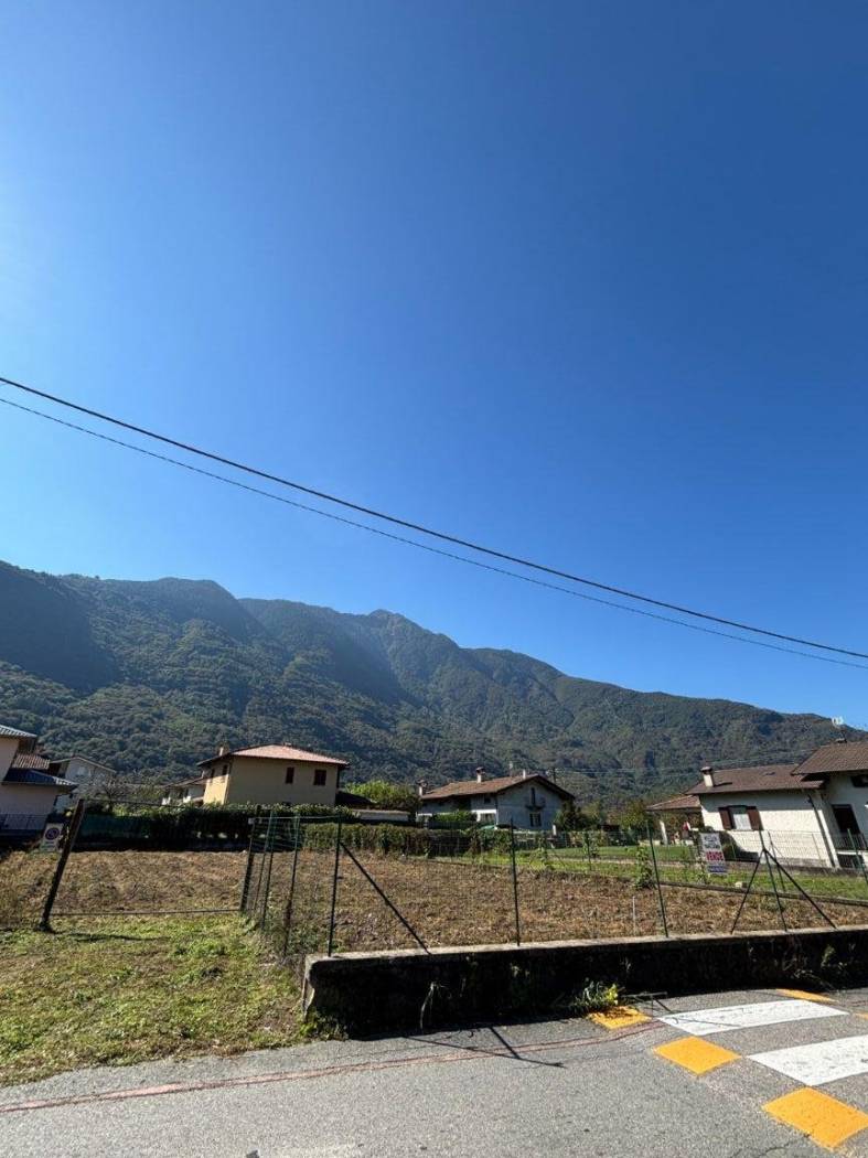 Vista