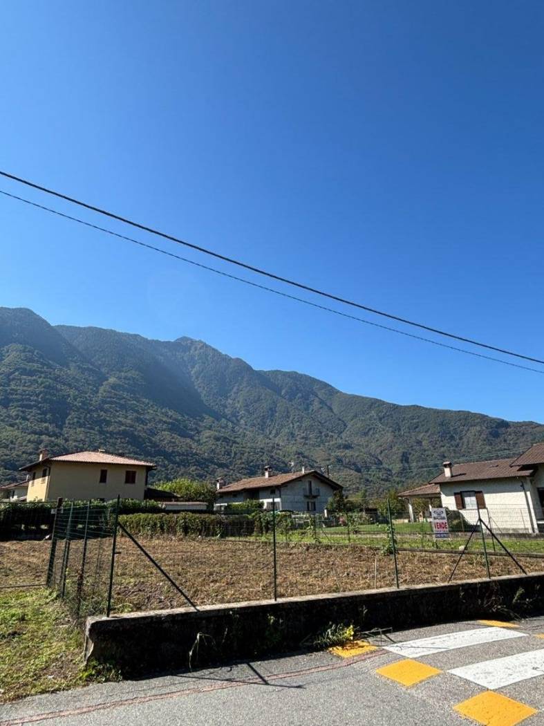 Vista