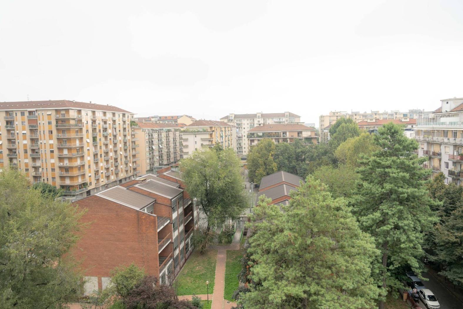 Vista