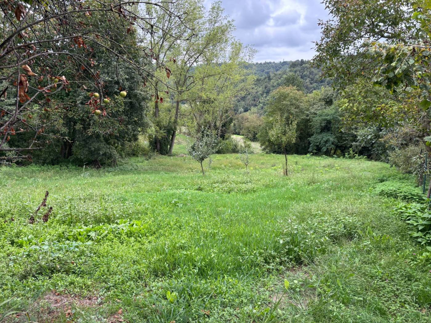 Terreno