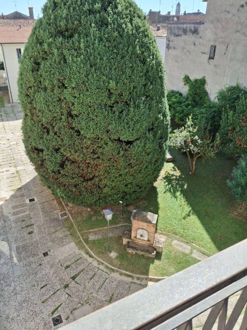 Vista