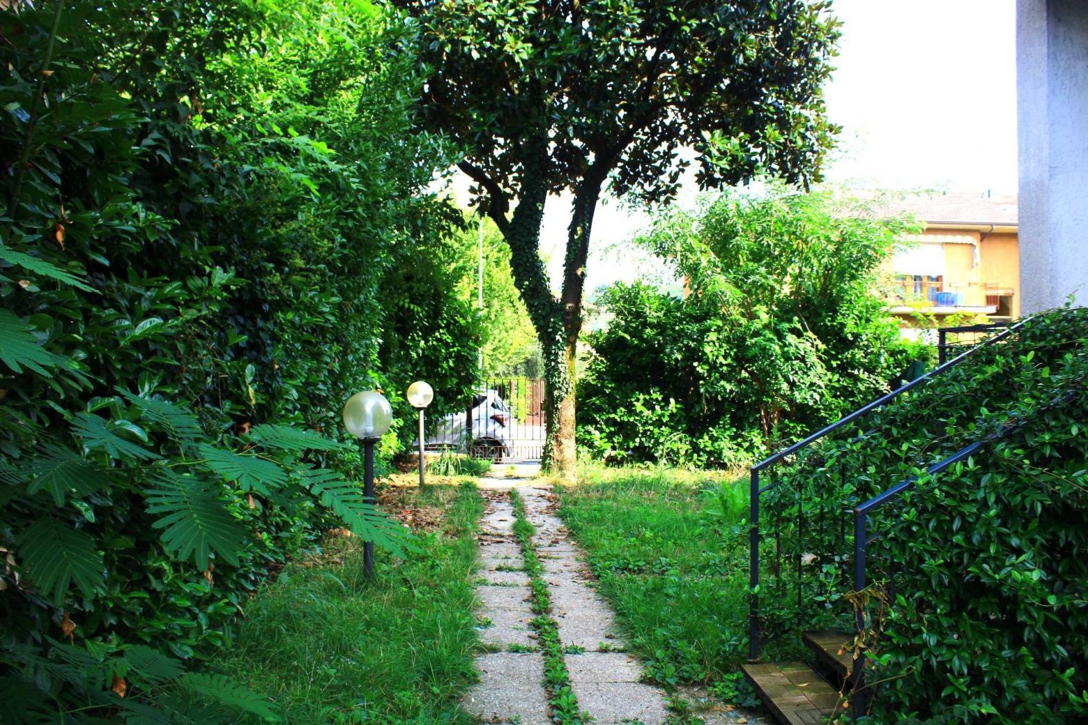 Giardino