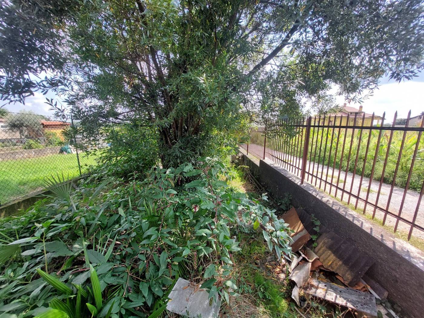 Giardino