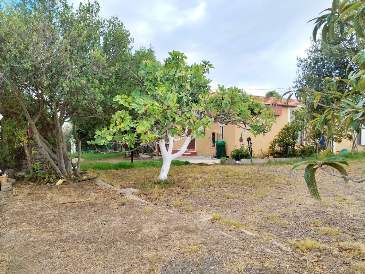 Giardino