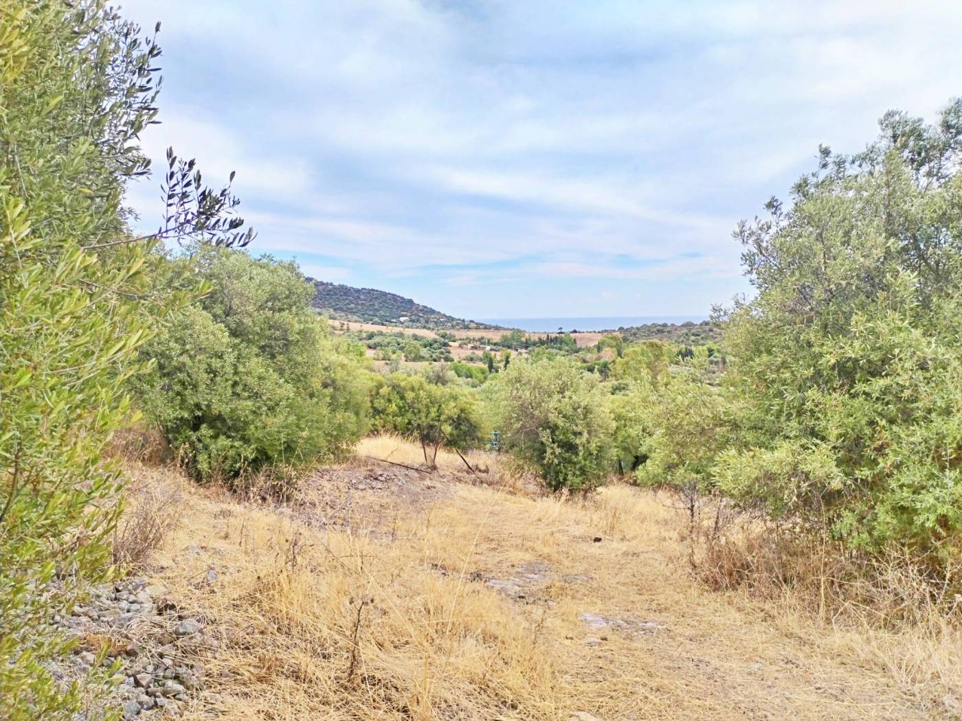 Terreno