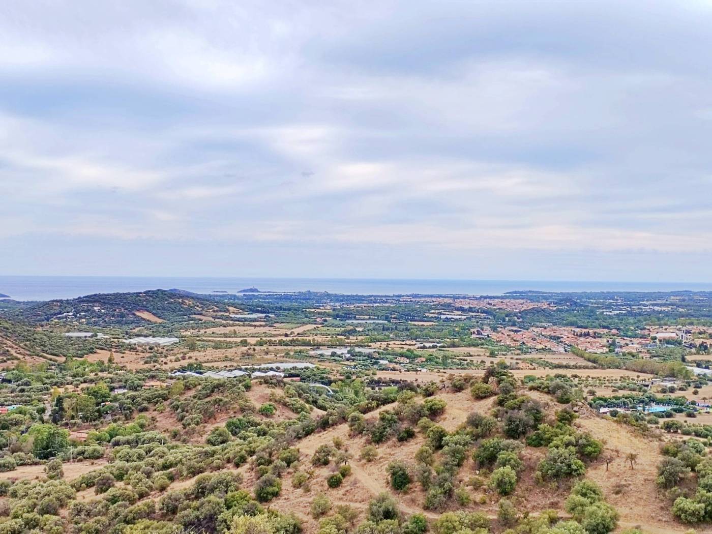 Vista