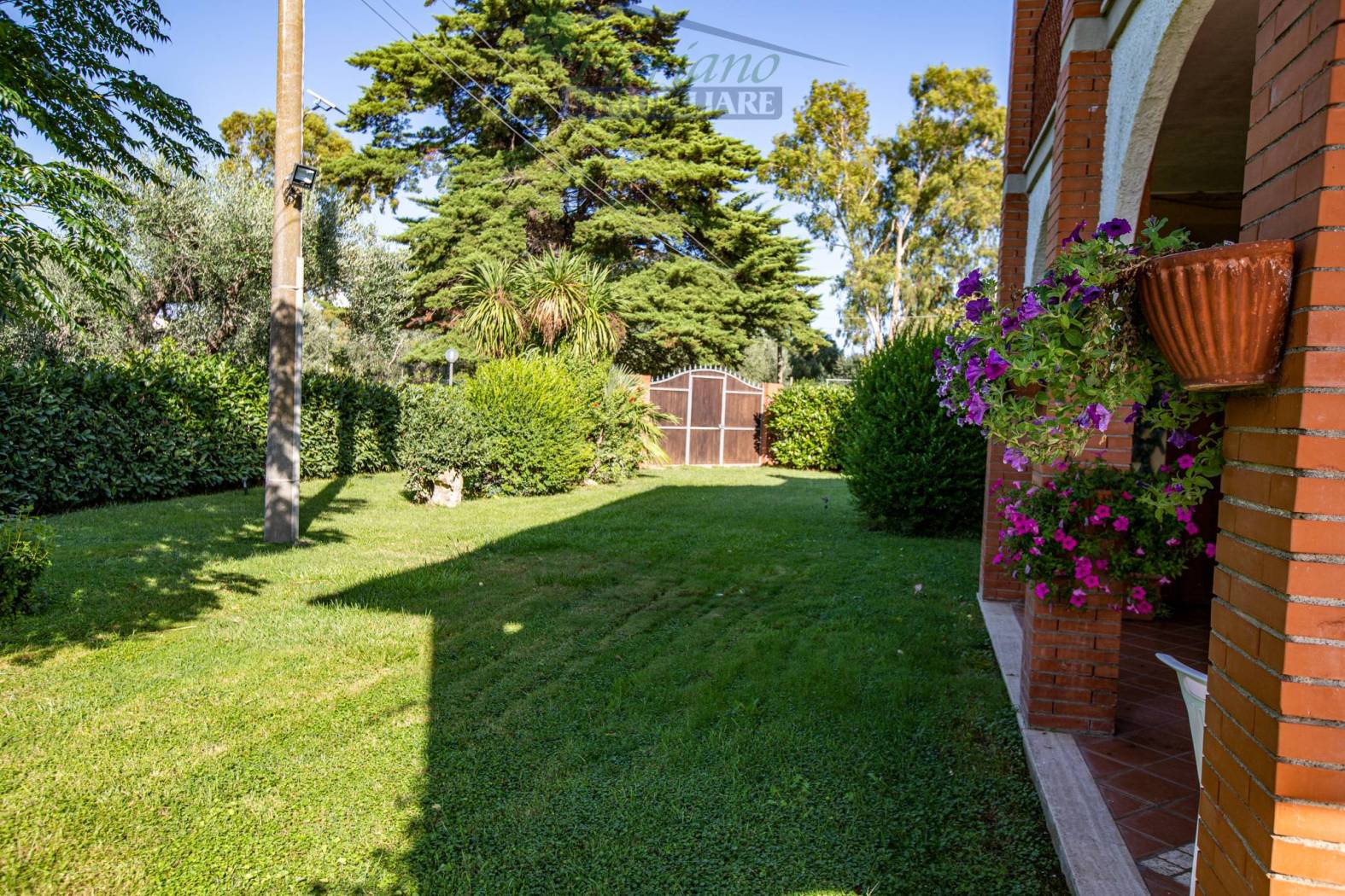 Giardino