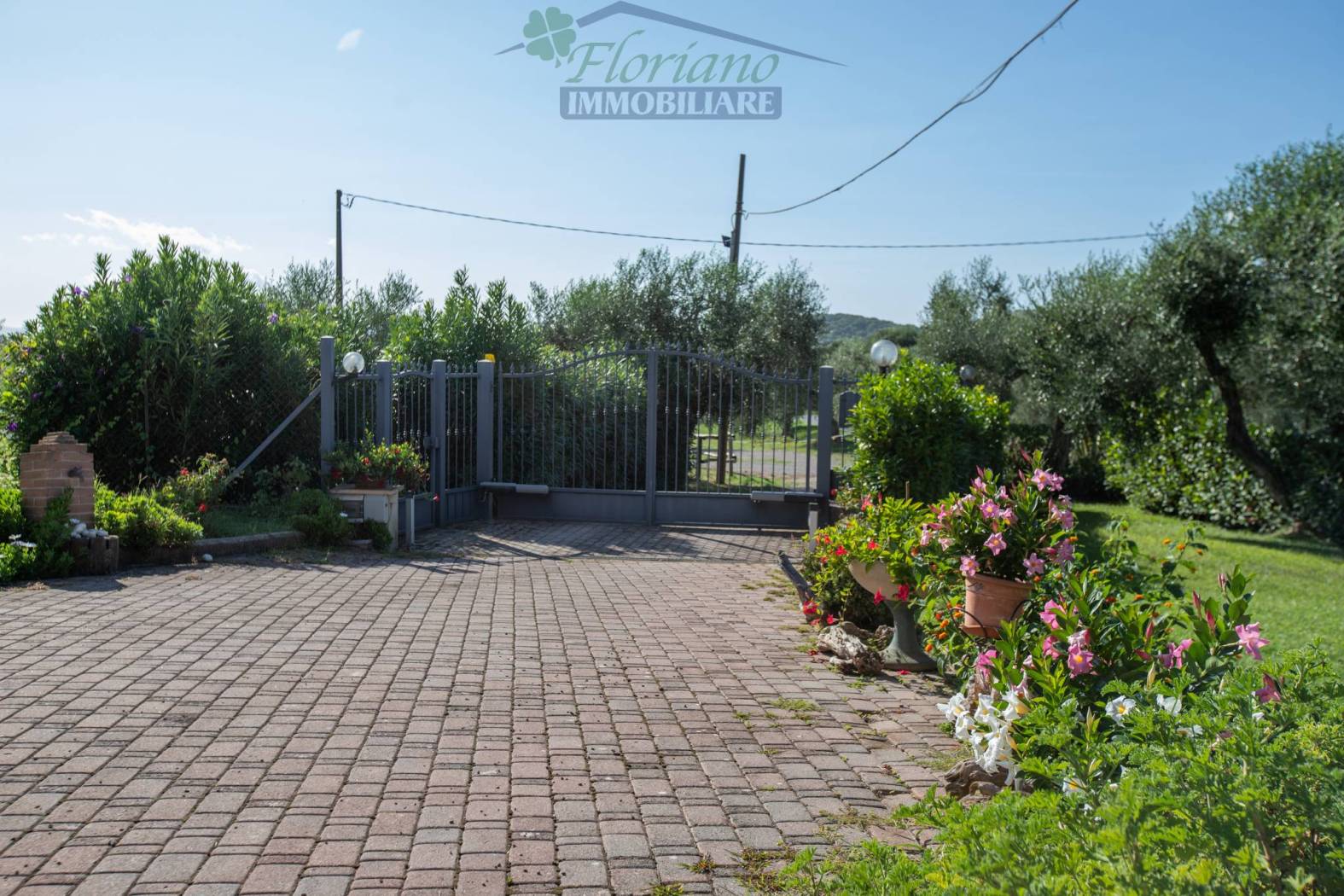 Giardino