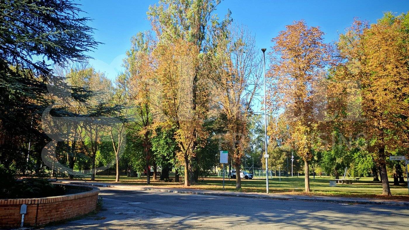 Zona