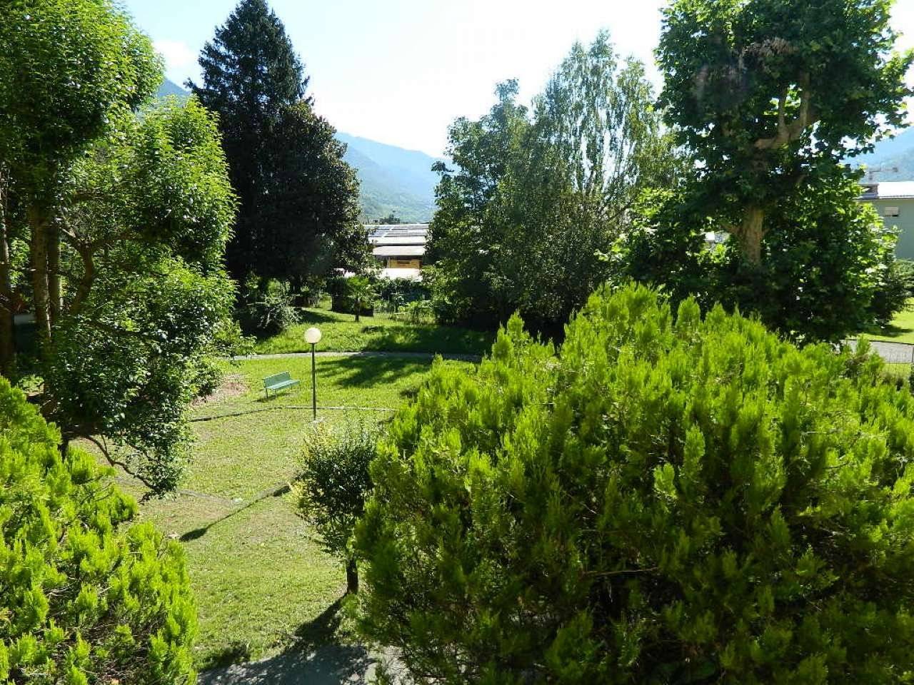 Vista