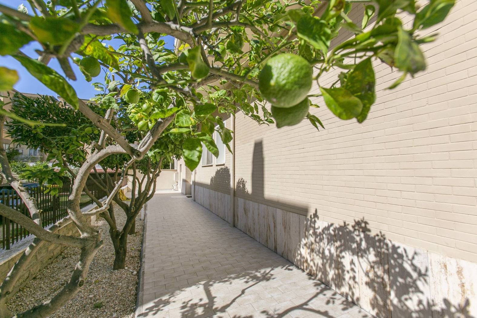 Giardino