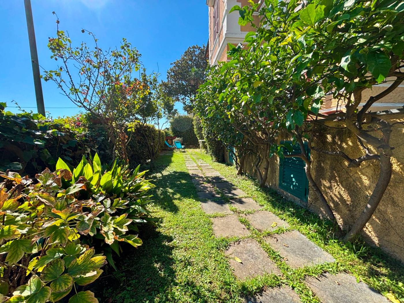 Giardino