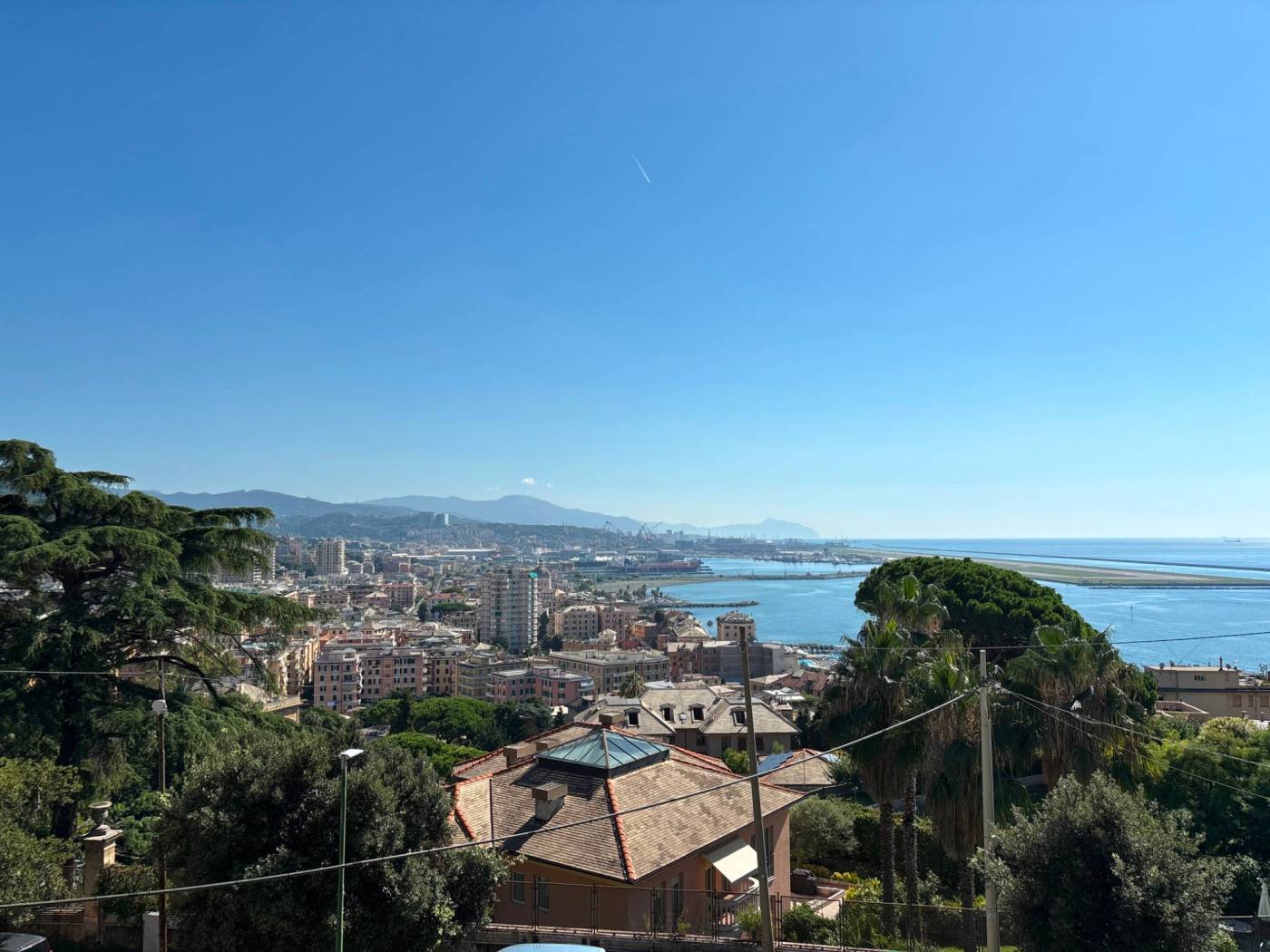 Vista