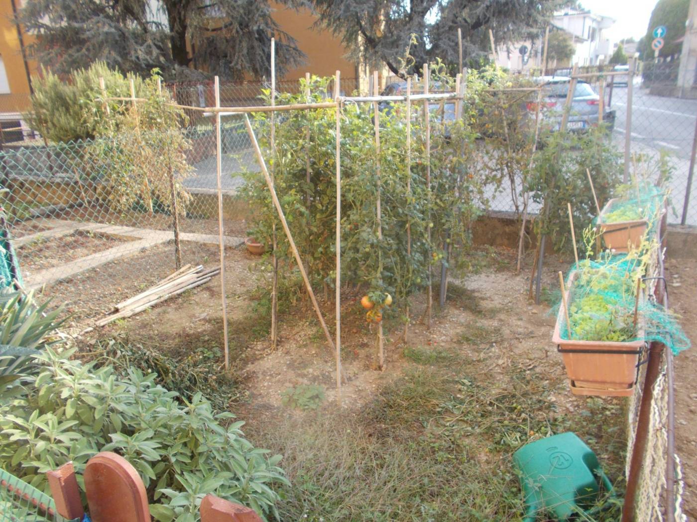 Giardino