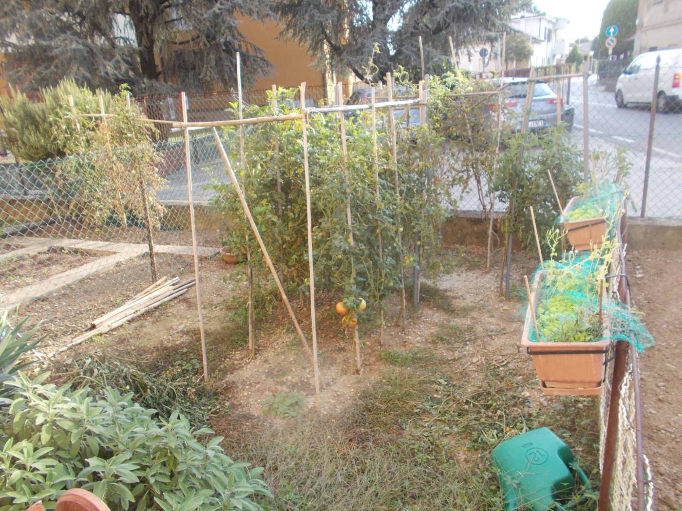 Giardino