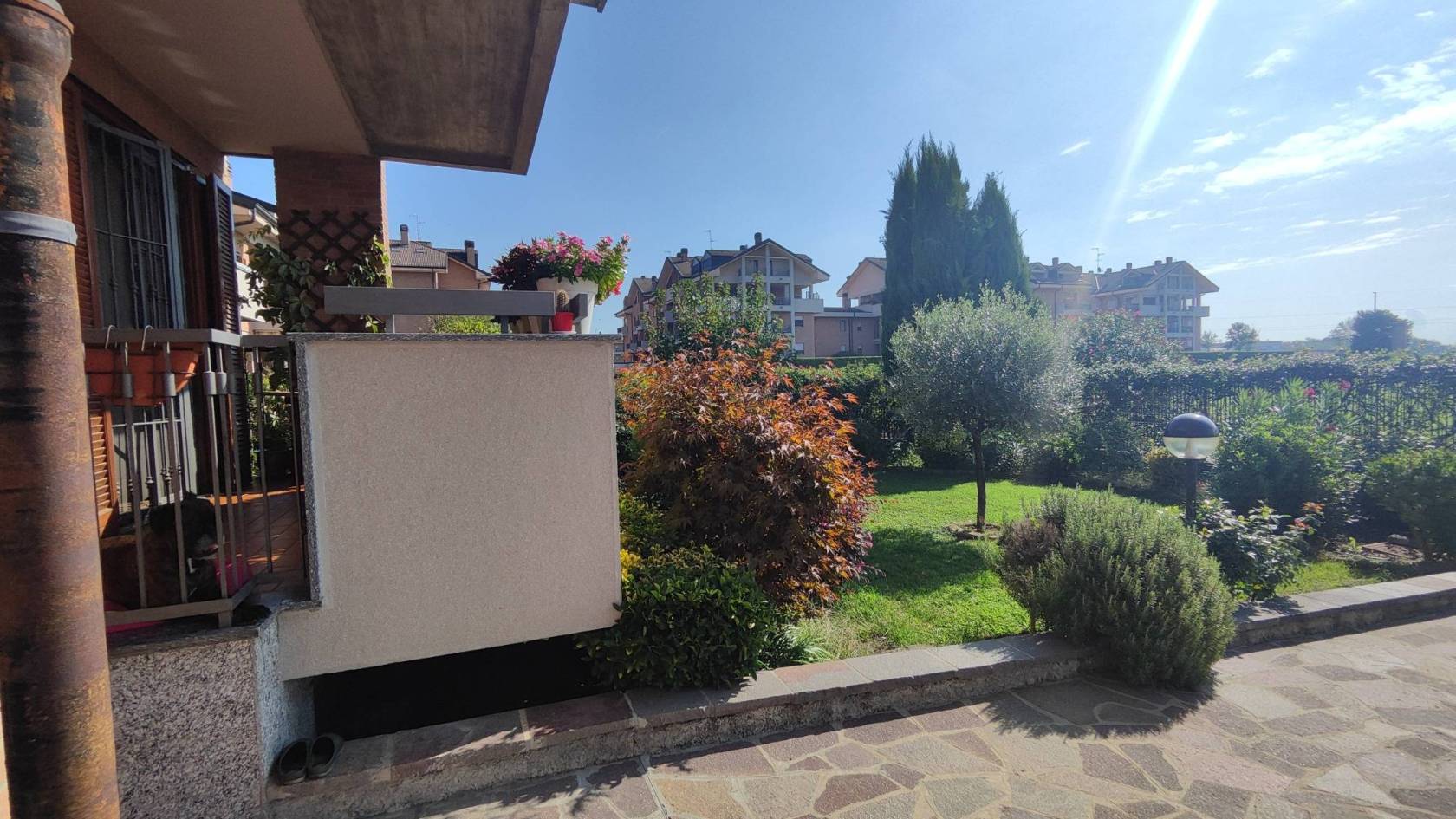 Vista