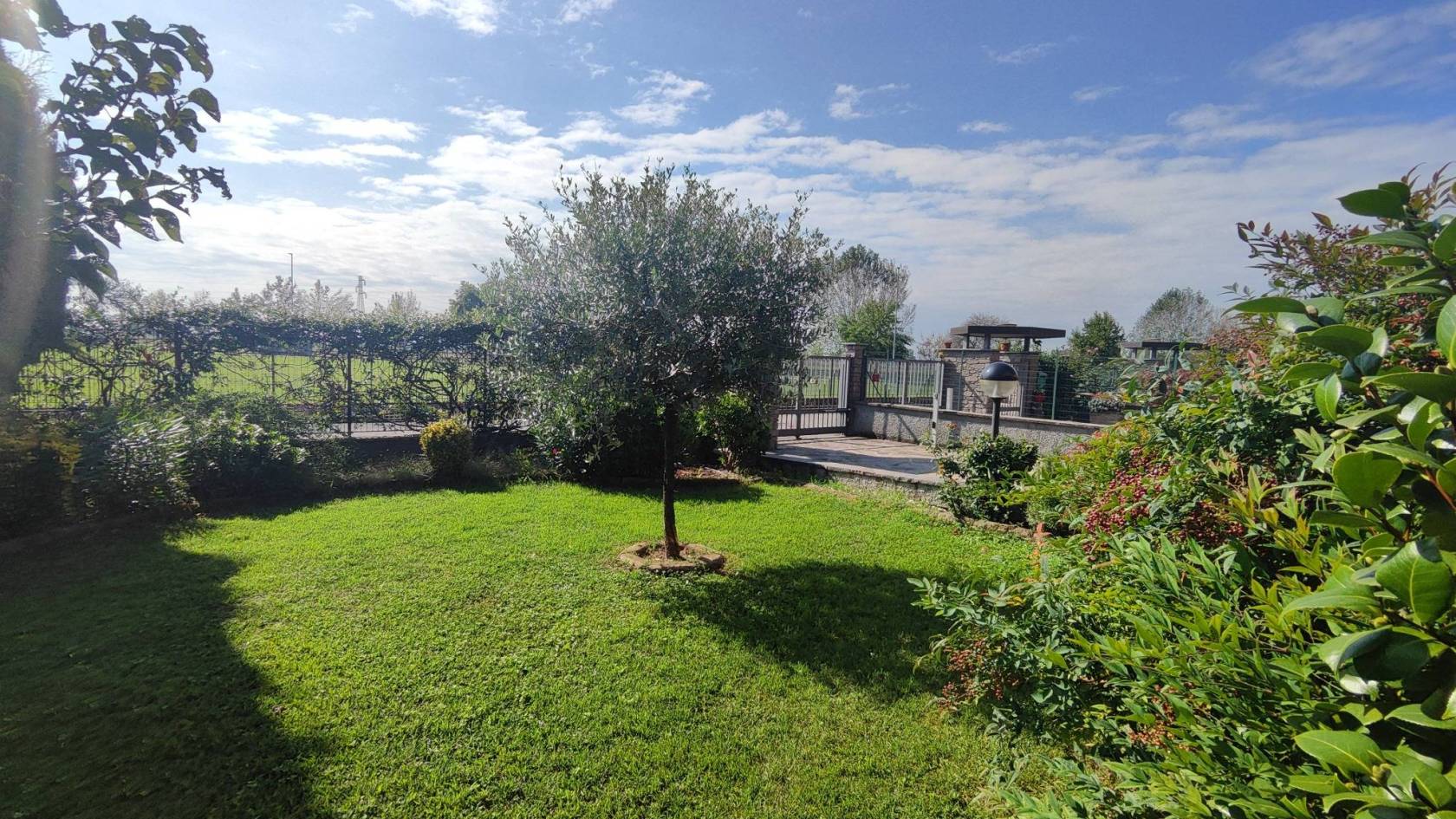 Giardino