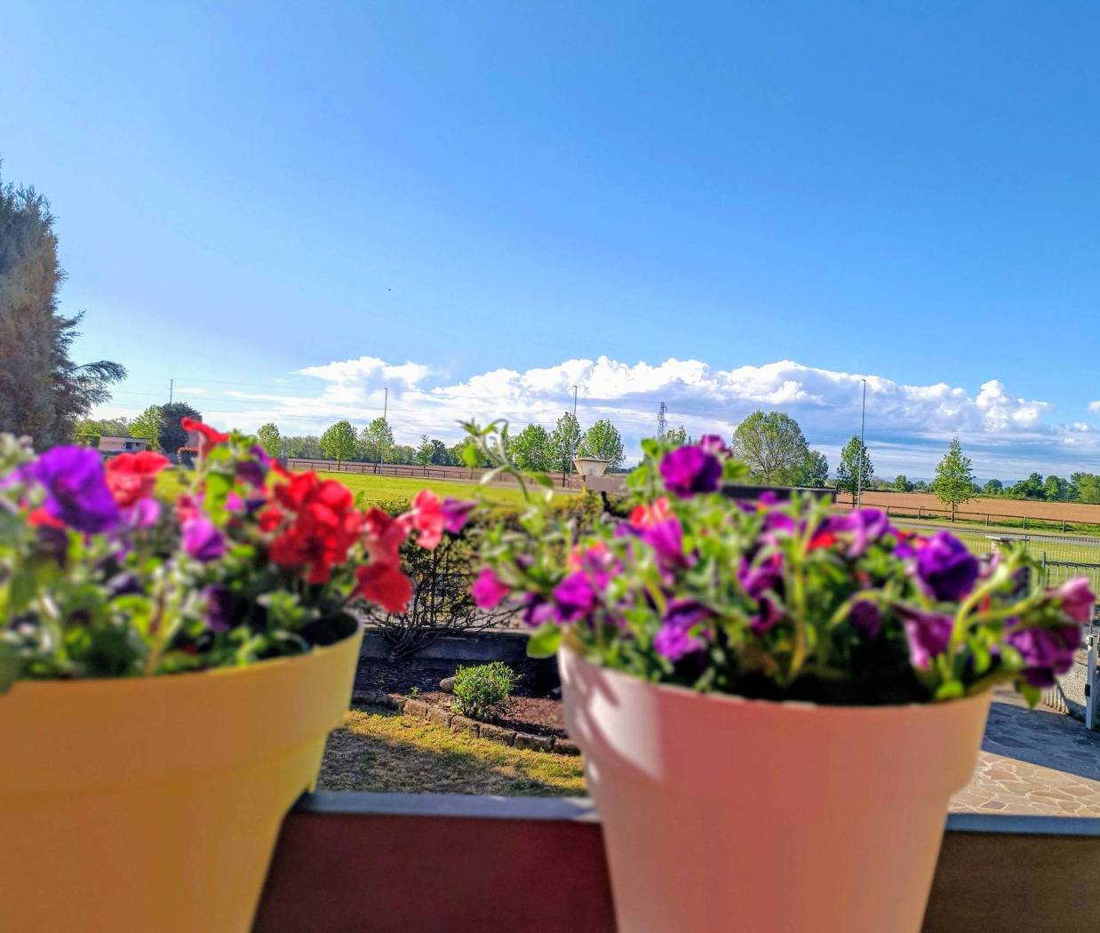 Vista