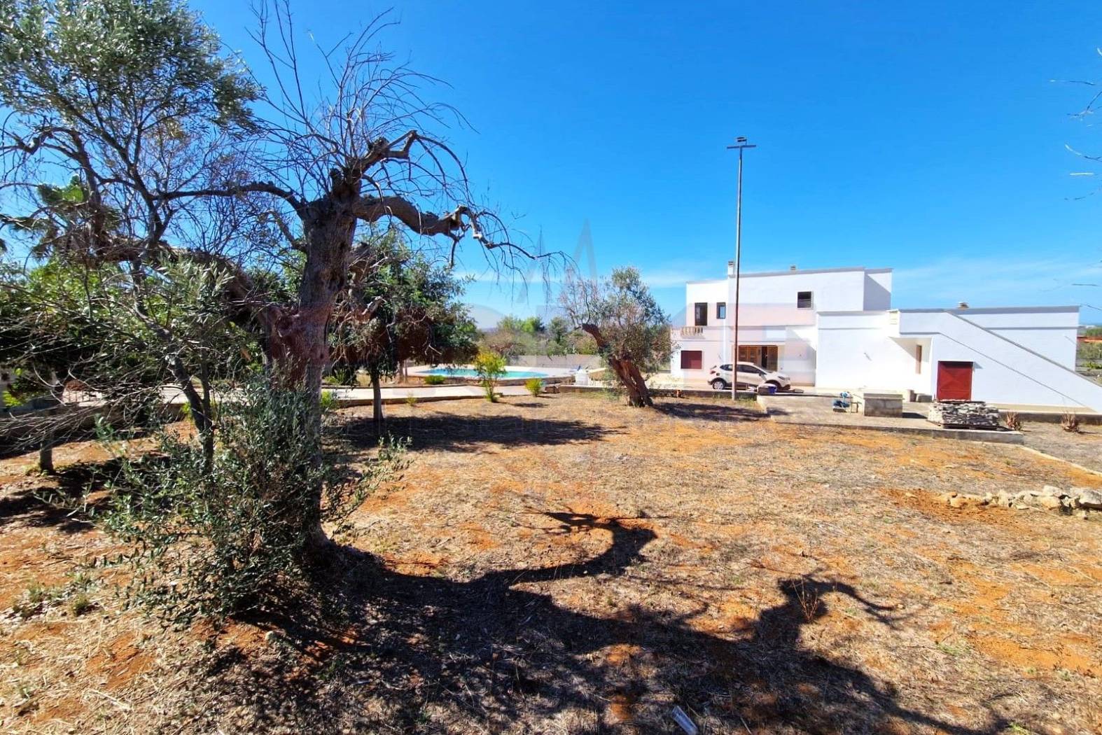 Terreno Terreno