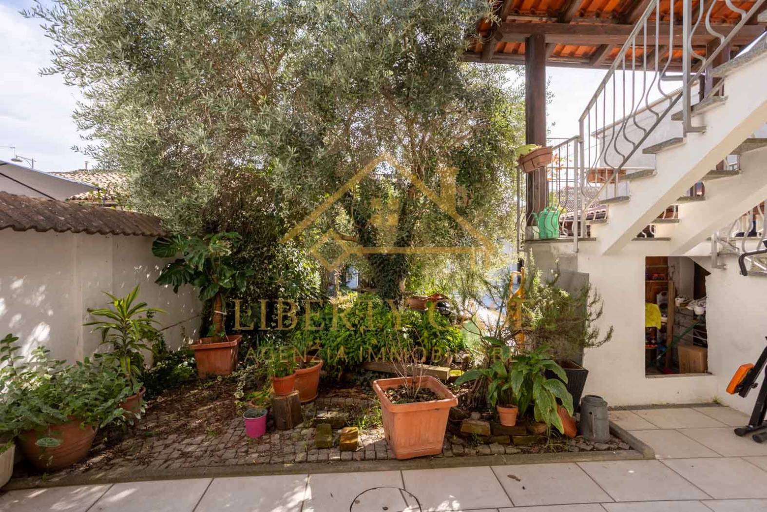 Giardino