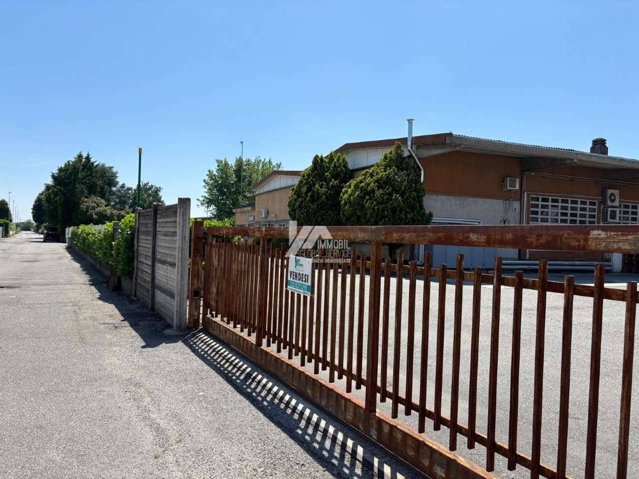 Zona