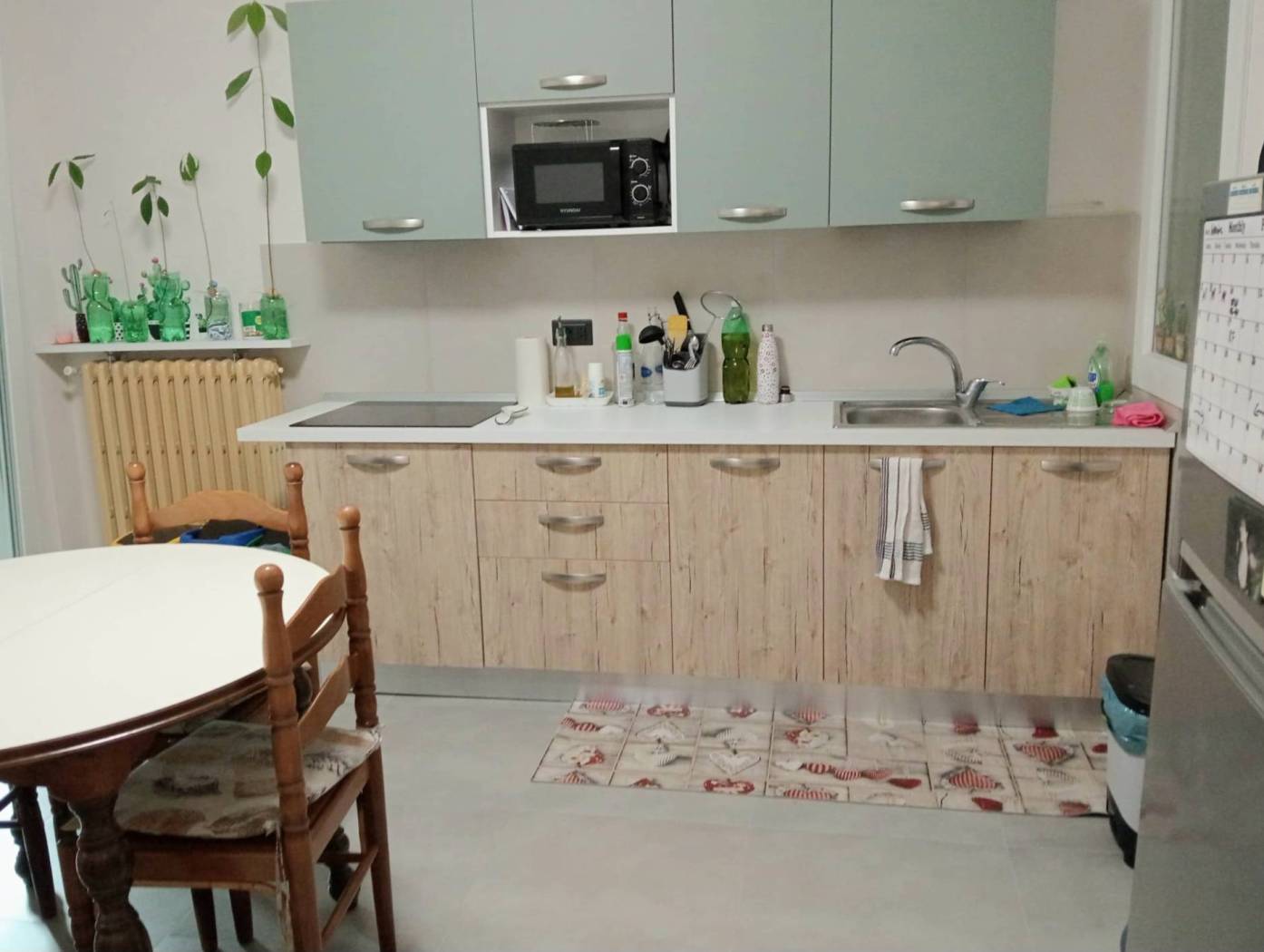 Cucina Cucina