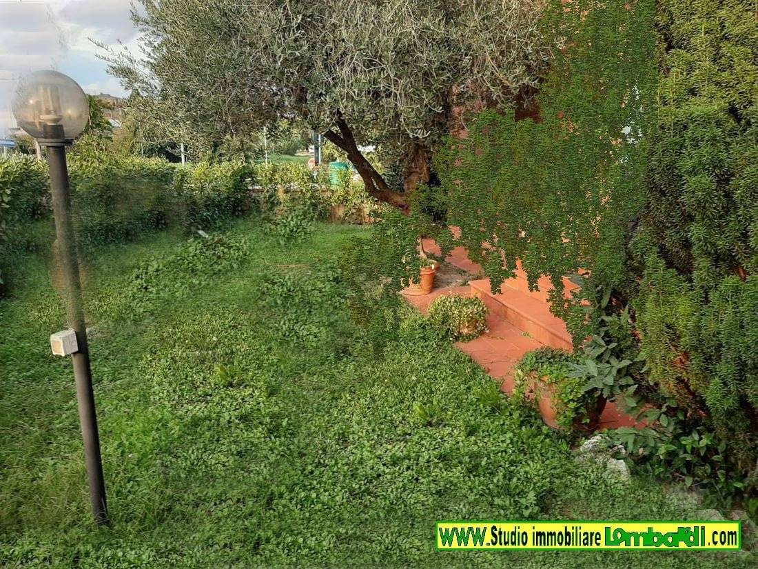 Giardino