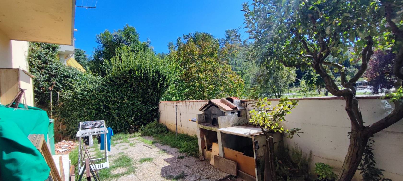 Giardino