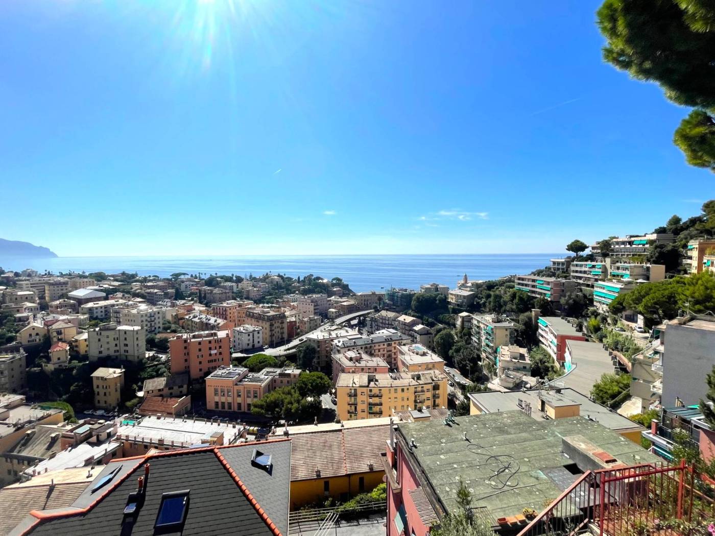 Vista