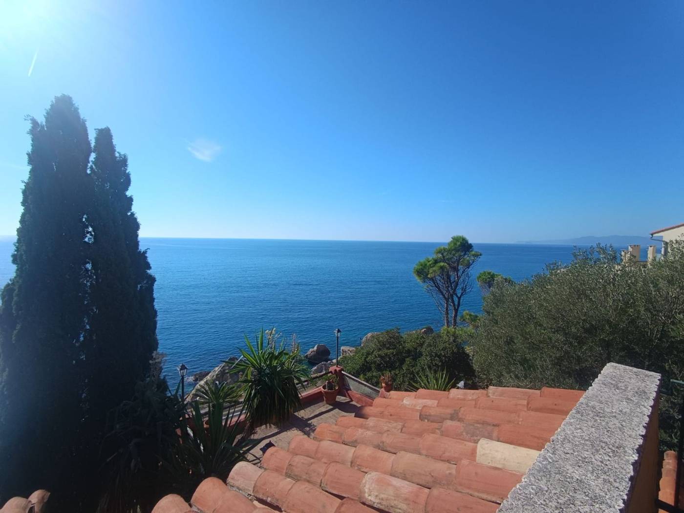 Vista