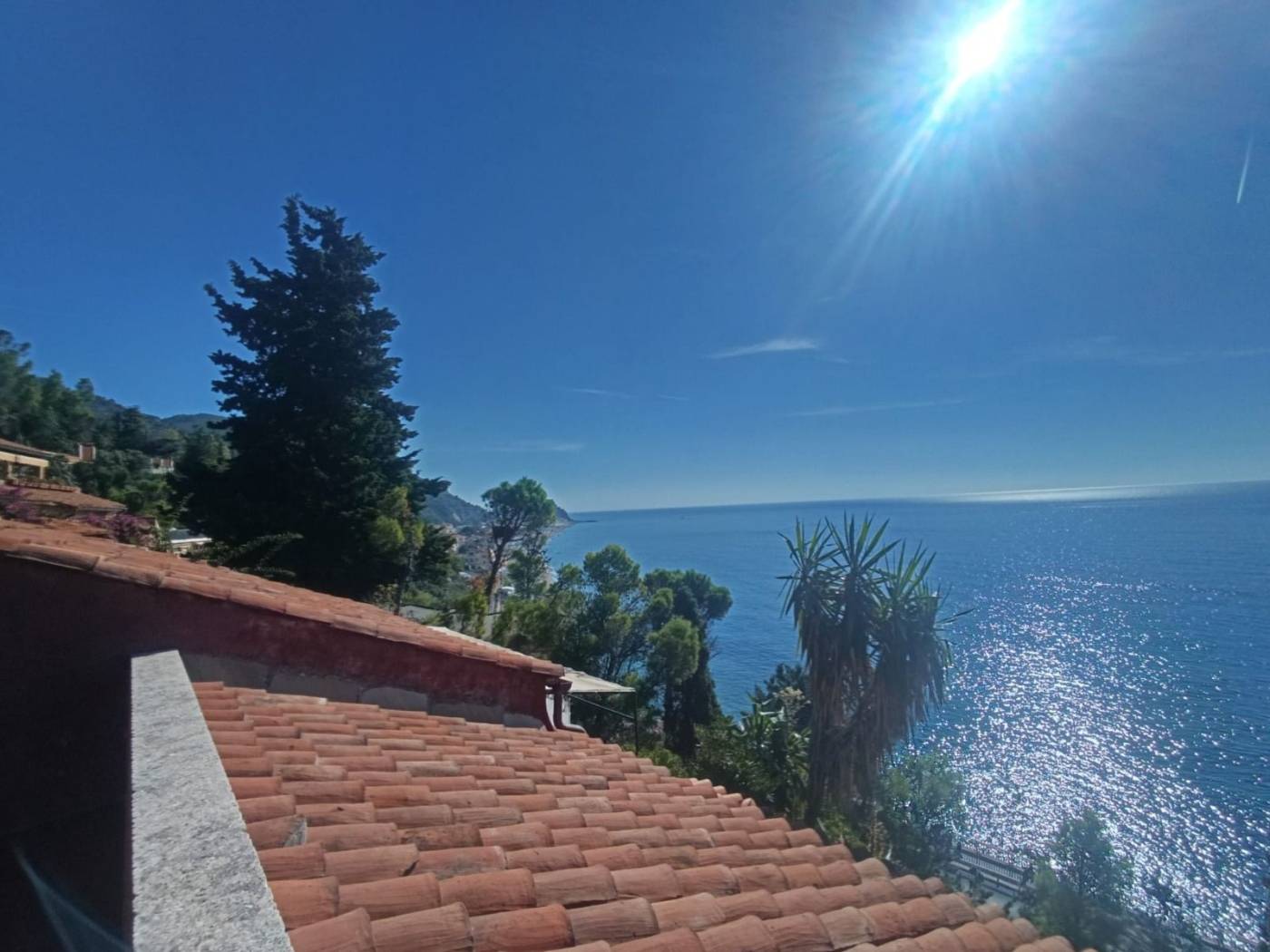 Vista