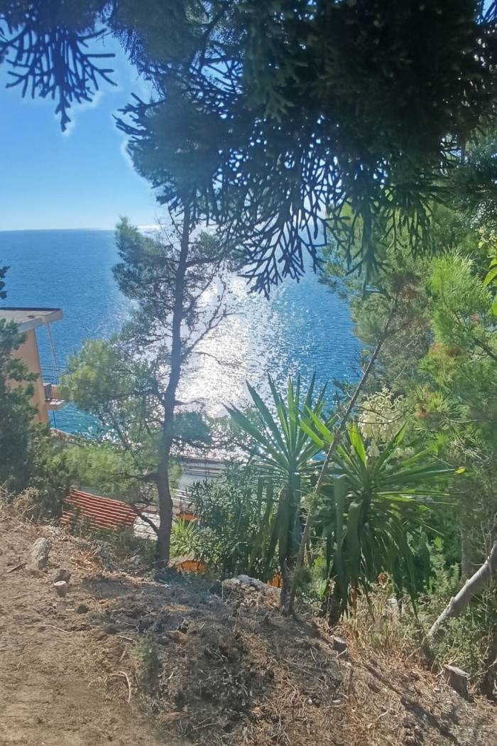 Vista