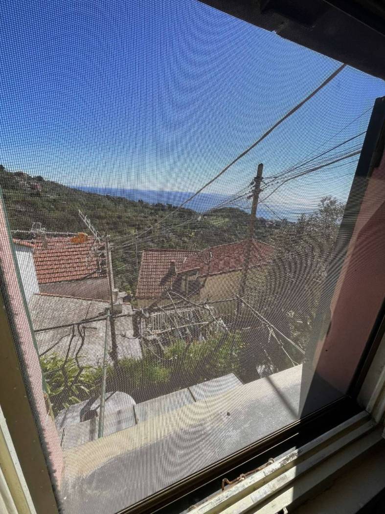 Vista