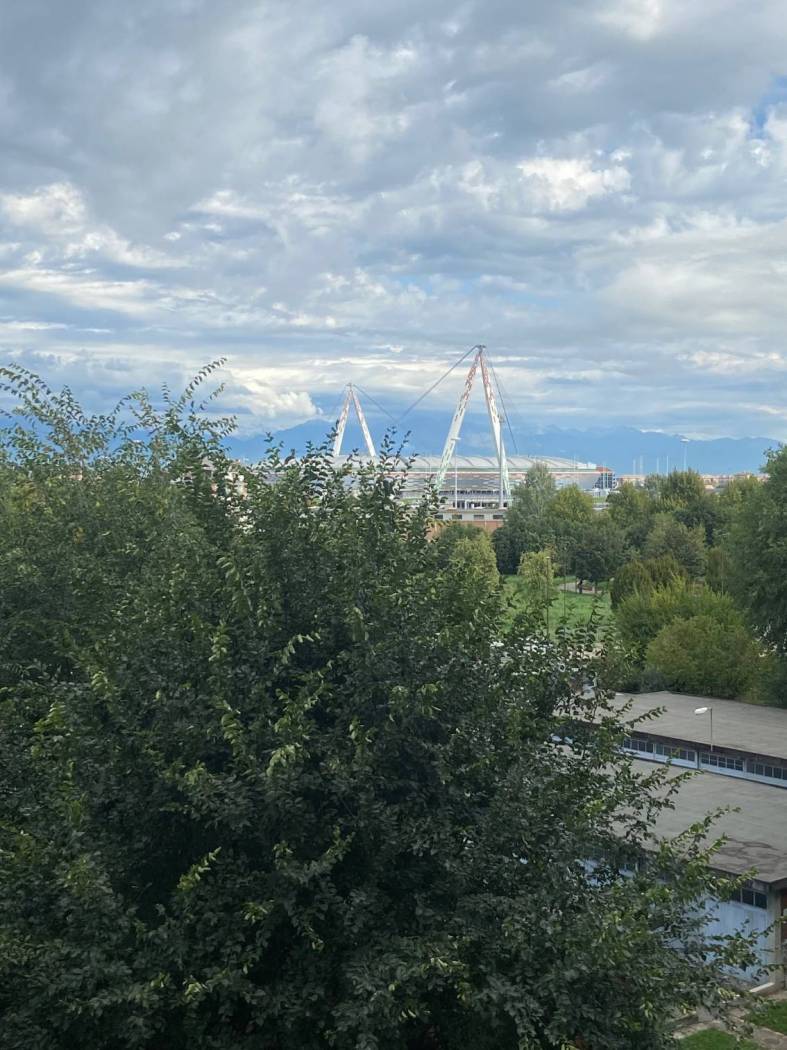 Vista