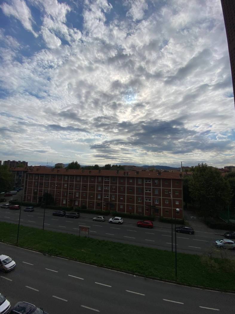 Vista