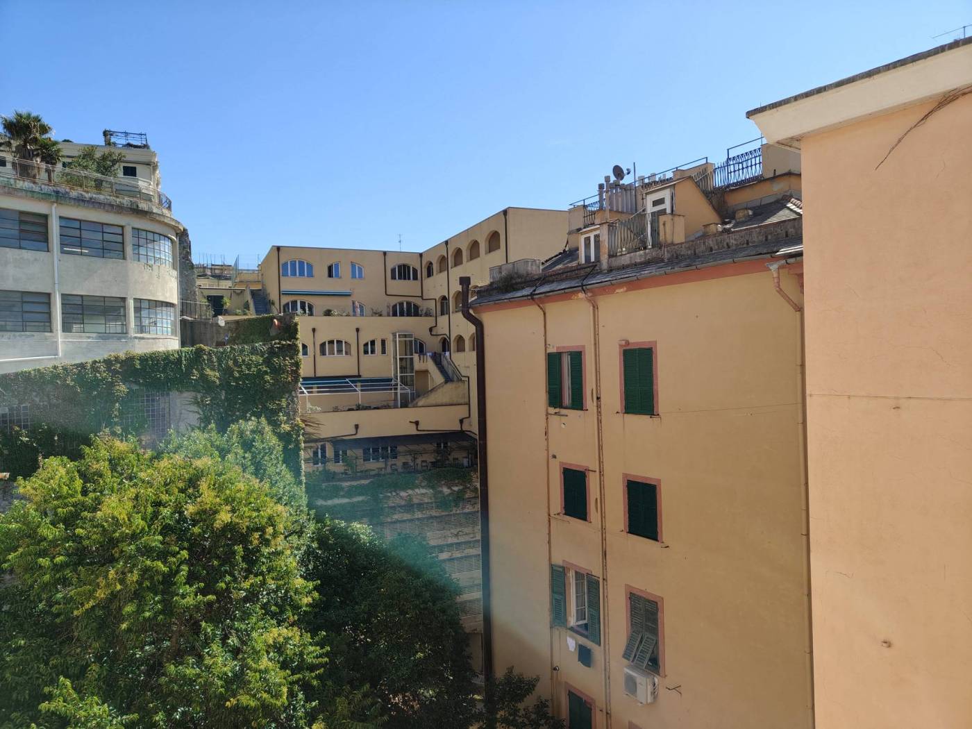 Vista