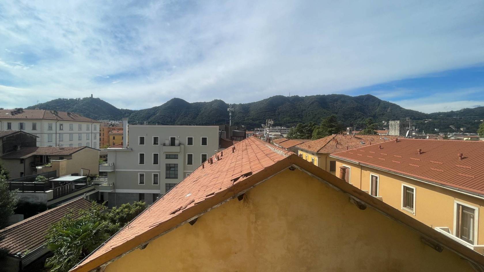 Vista