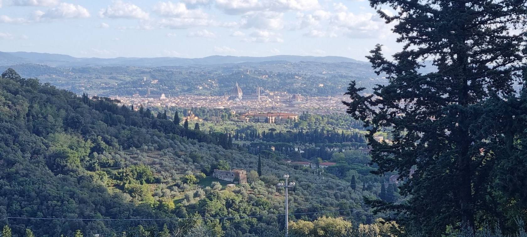 Vista