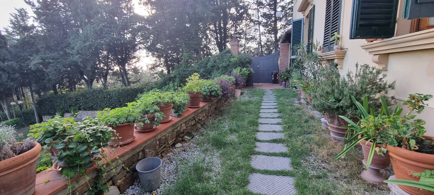 Giardino