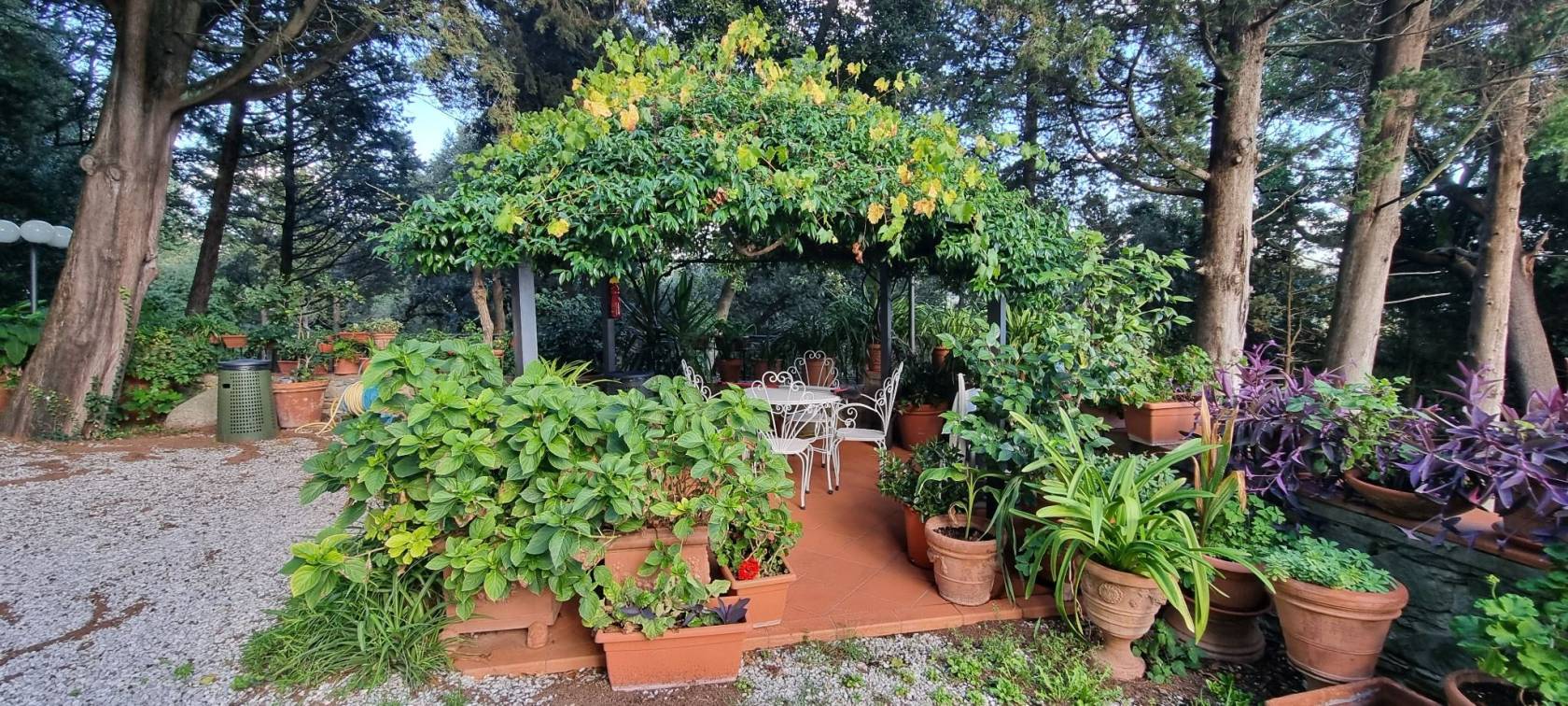 Giardino