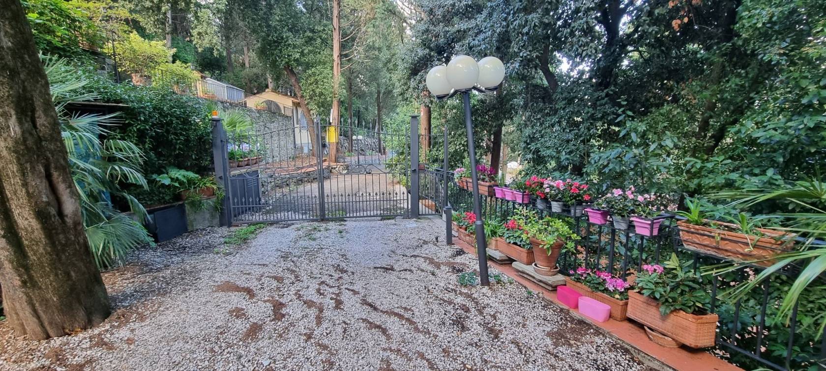 Giardino