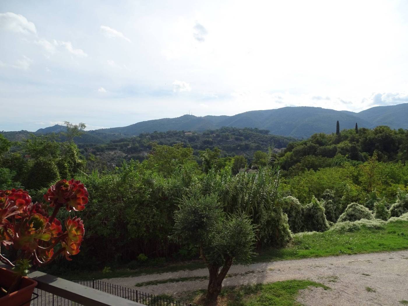 Vista
