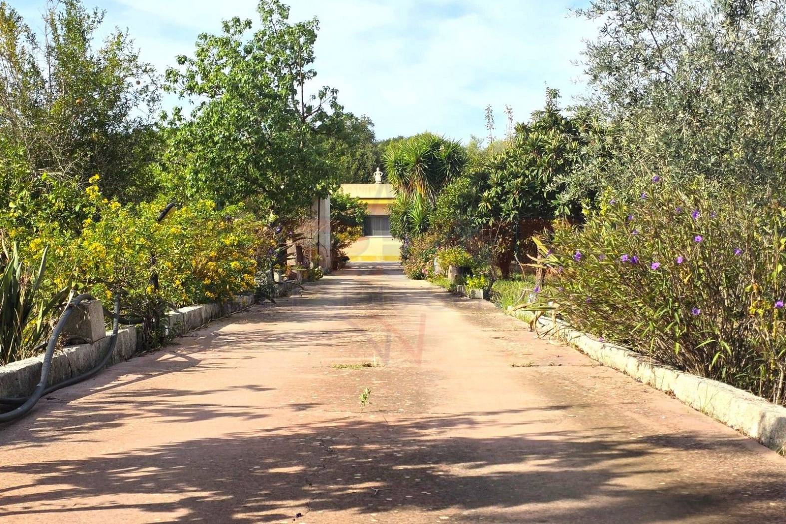 Giardino Giardino