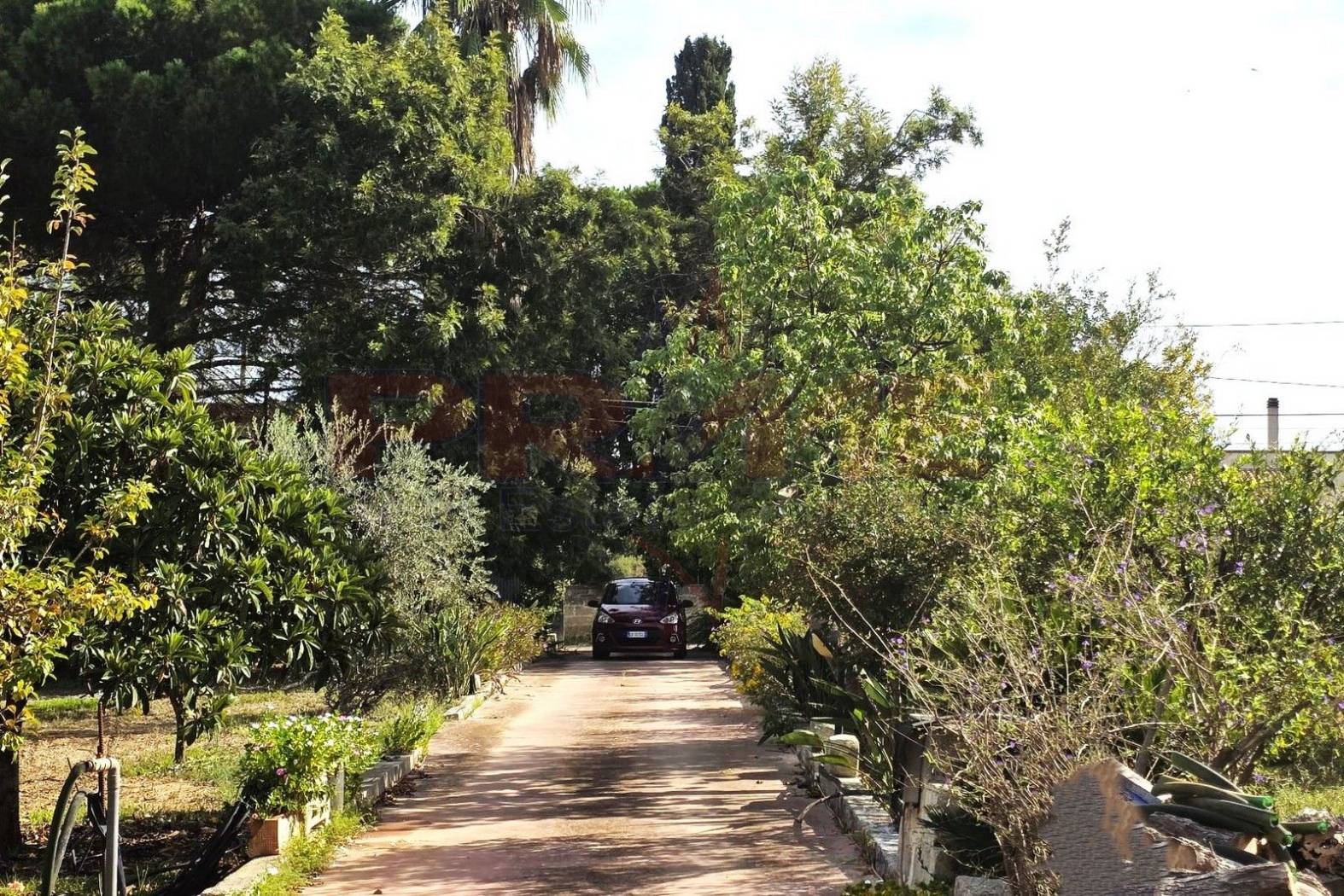 Giardino Giardino