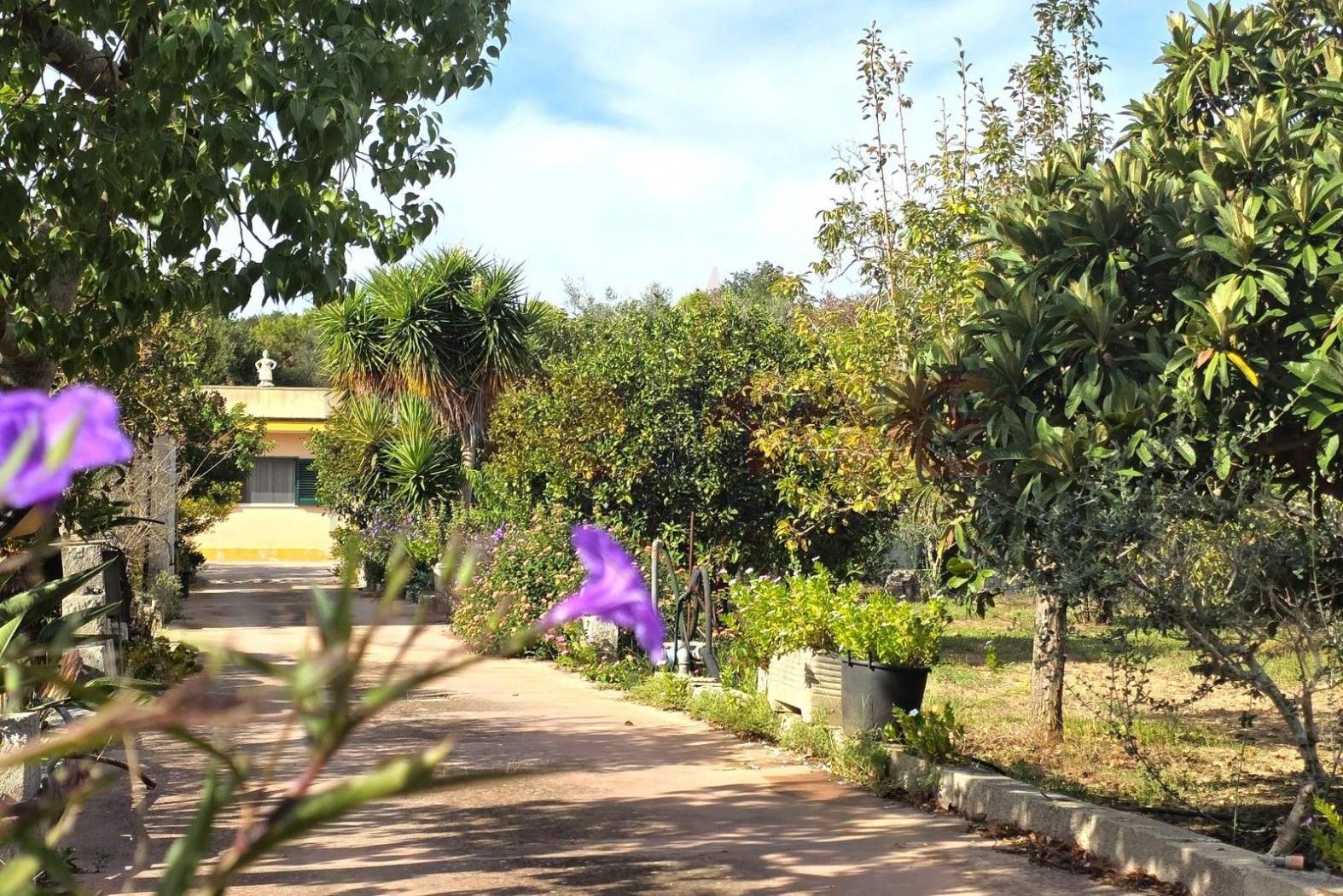 Giardino Giardino